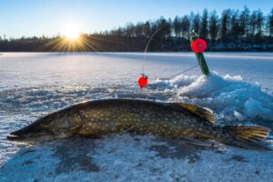 Can You Go Ice Fishing In Michigan